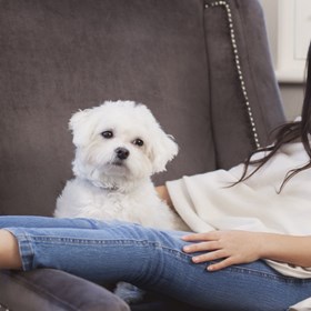 Buy Cashmere Ponchos: Mamma And Me